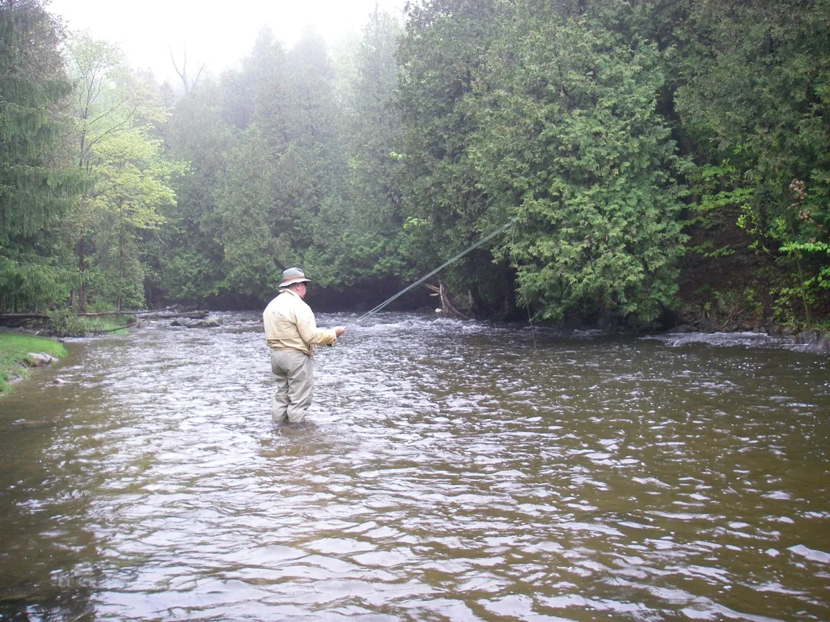 An angler float fishing a run on the Upper Credit River at Belfountain Conservation Area, just above the falls, rod held high to control the drift.