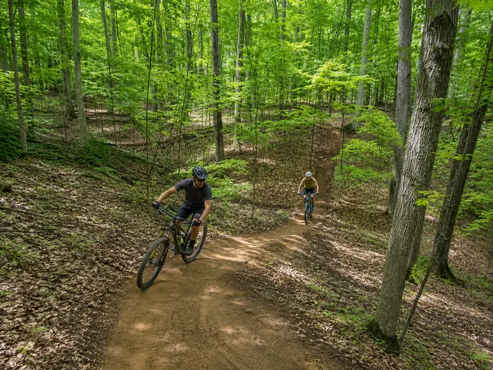 Two mountain bikers riding a winding singletrack trail through the hardwood forest at Dufferin County Forest.