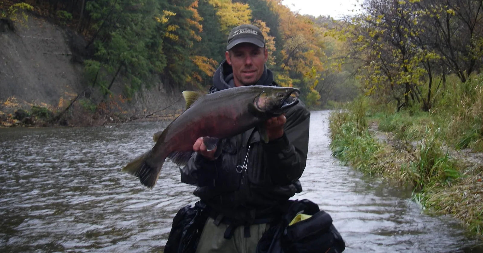 Graham Bristow standing in the lower Credit River in autumn, holding a large coloured-up coho salmon, a steep eroded bank and fall colour behind him.