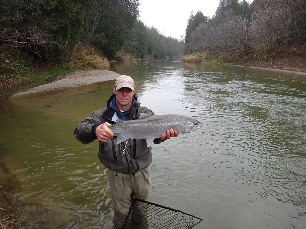 An angler standing in the Nottawasaga River holding a chrome steelhead, landing net at his waist, wooded banks behind.
