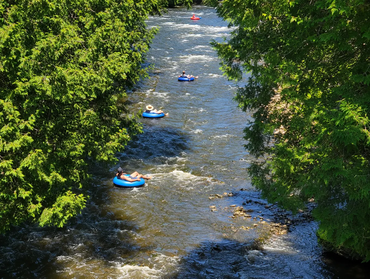 Tubers riding a whitewater stretch of the Grand River, seen from above through overhanging trees.